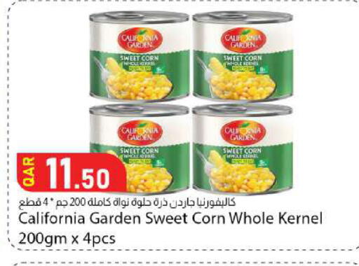available at دانا ماركت in قطر - الضعاين