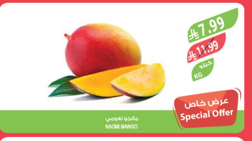 Mango available at المزرعة in مملكة العربية السعودية, السعودية, سعودية - القطيف‎