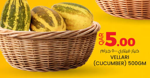 Cucumber available at أنصار جاليري in قطر - الخور