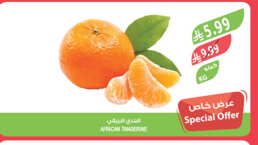 available at المزرعة in مملكة العربية السعودية, السعودية, سعودية - القطيف‎