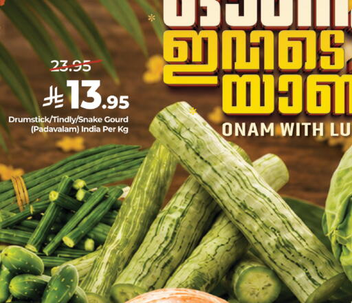 from India available at لولو هايبرماركت in مملكة العربية السعودية, السعودية, سعودية - أبها