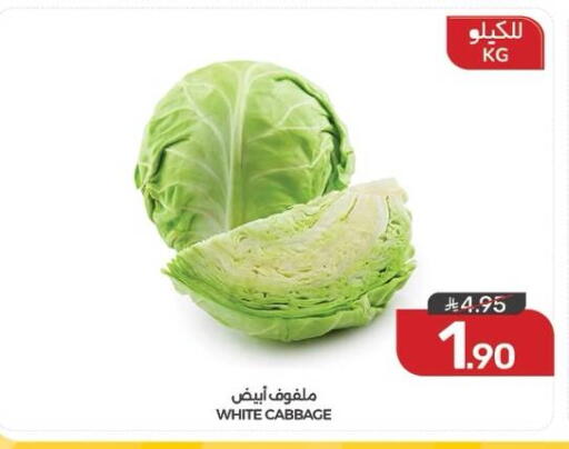 Cabbage available at  مـزايــا in مملكة العربية السعودية, السعودية, سعودية - القطيف‎