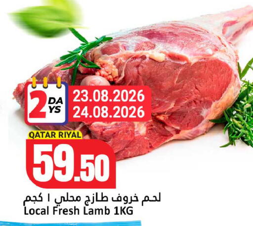 available at دانة هايبرماركت in قطر - الريان