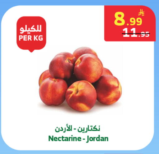 Nectarine from Jordan available at الراية in مملكة العربية السعودية, السعودية, سعودية - بيشة