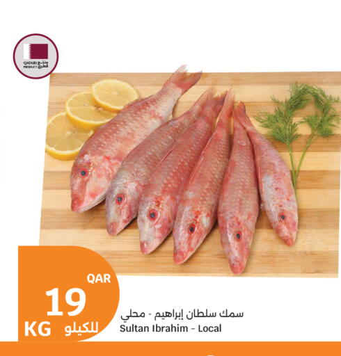 available at سيتي هايبرماركت in قطر - الضعاين