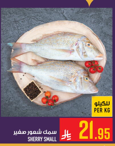 available at أبراج هايبر ماركت in مملكة العربية السعودية, السعودية, سعودية - مكة المكرمة