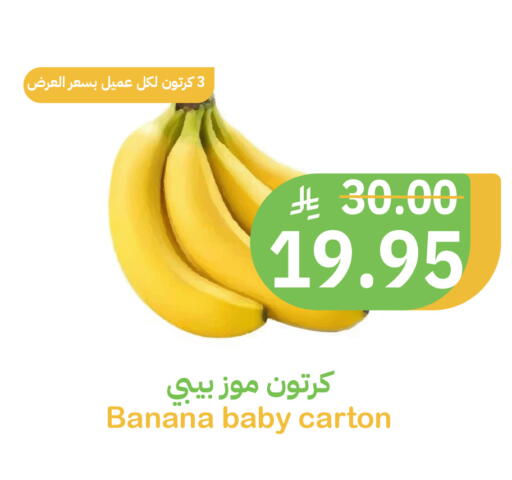 Banana available at Qateba Markets in KSA, Saudi Arabia, Saudi - Buraidah
