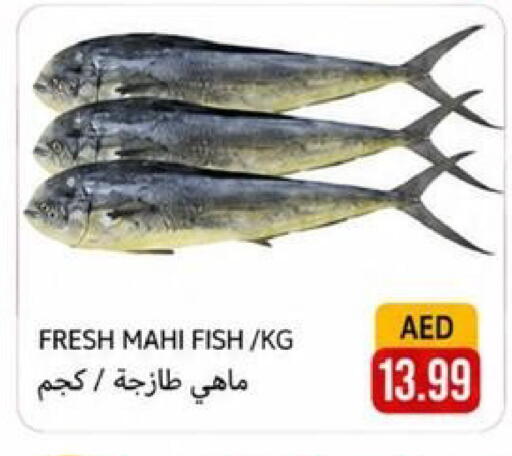 available at Rawabi Market Ajman in UAE - Sharjah / Ajman