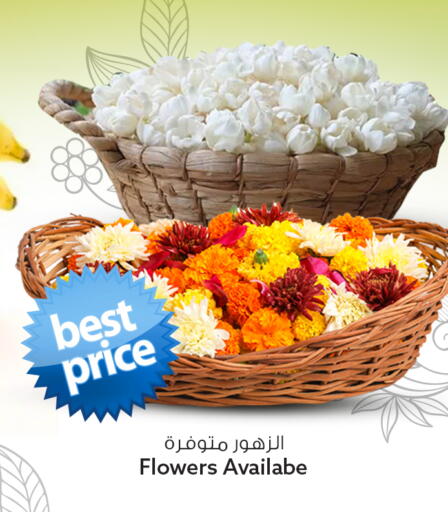 available at Safari Hypermarket in Qatar - Al-Shahaniya