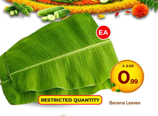 Banana available at Hyper Al Wafa in KSA, Saudi Arabia, Saudi - Dammam