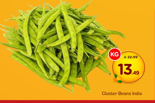 from India available at هايبر الوفاء in مملكة العربية السعودية, السعودية, سعودية - مكة المكرمة