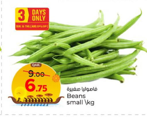 available at باريس هايبرماركت in قطر - الشحانية