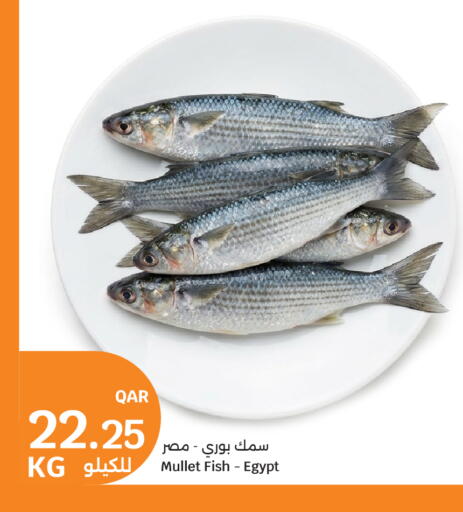 available at سيتي هايبرماركت in قطر - الريان
