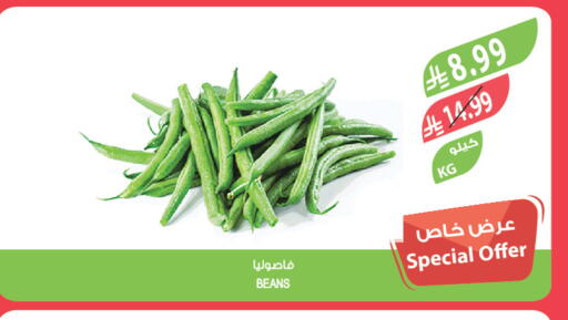 available at Farm  in KSA, Saudi Arabia, Saudi - Hafar Al Batin