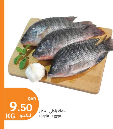available at سيتي هايبرماركت in قطر - الريان