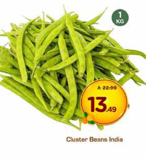 from India available at نستو in مملكة العربية السعودية, السعودية, سعودية - المنطقة الشرقية