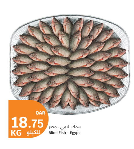 available at سيتي هايبرماركت in قطر - الضعاين