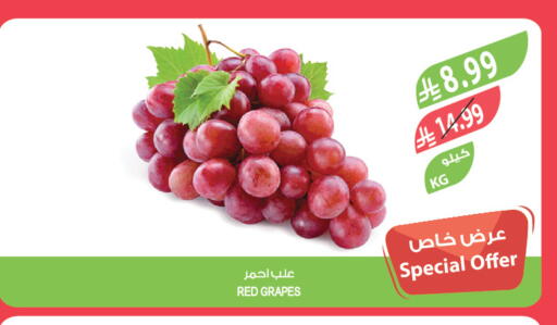 Grapes available at المزرعة in مملكة العربية السعودية, السعودية, سعودية - الرياض