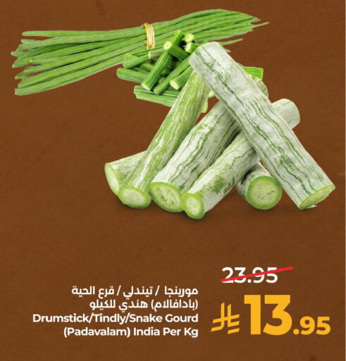 from India available at لولو هايبرماركت in مملكة العربية السعودية, السعودية, سعودية - المنطقة الشرقية