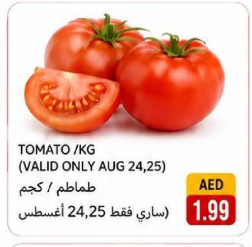 Tomato available at Rawabi Market Ajman in UAE - Sharjah / Ajman