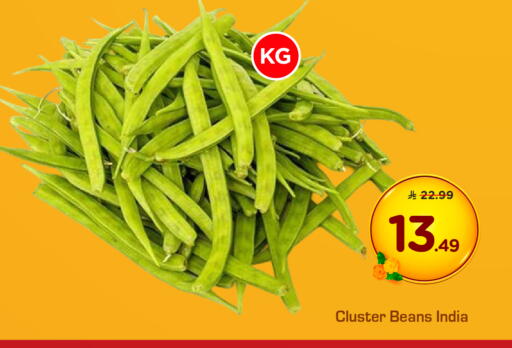 from India available at هايبر الوفاء in مملكة العربية السعودية, السعودية, سعودية - الطائف