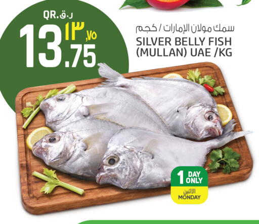available at كنز ميني مارت in قطر - الخور