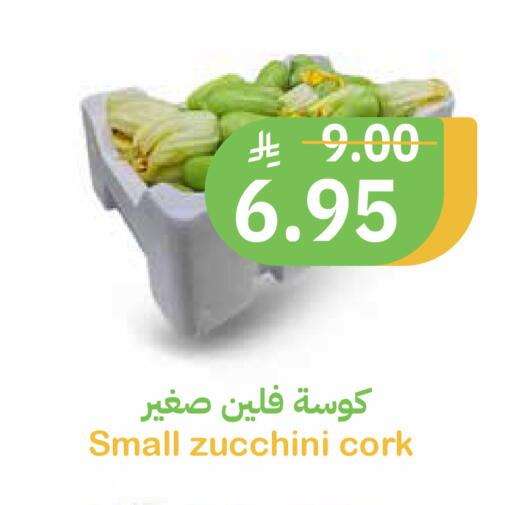 Zucchini available at Qateba Markets in KSA, Saudi Arabia, Saudi - Buraidah