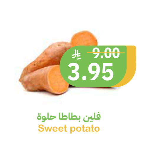 Sweet Potato available at Qateba Markets in KSA, Saudi Arabia, Saudi - Buraidah