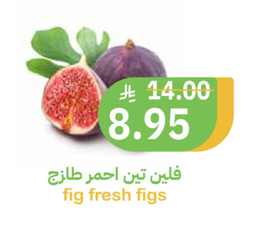 Fig available at Qateba Markets in KSA, Saudi Arabia, Saudi - Buraidah