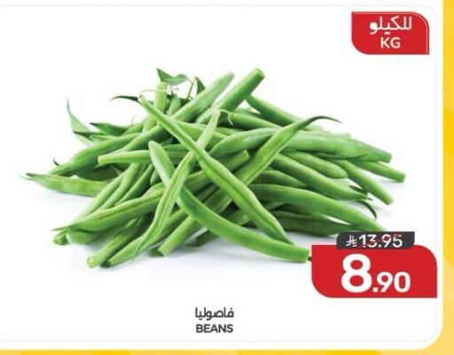 available at  مـزايــا in مملكة العربية السعودية, السعودية, سعودية - القطيف‎