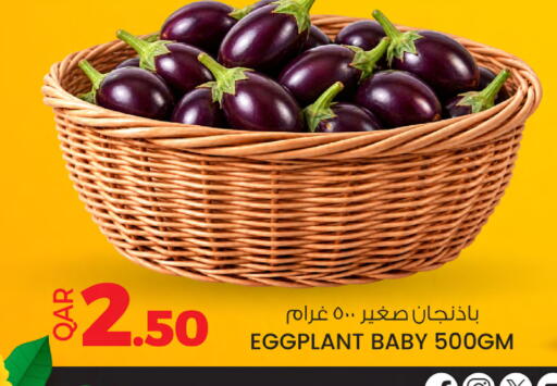 Eggplant available at أنصار جاليري in قطر - الخور