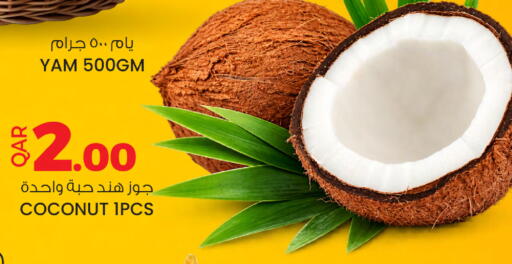 Coconut available at أنصار جاليري in قطر - الريان
