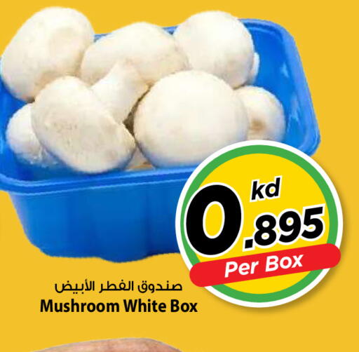 Mushroom available at مارك & سايف in الكويت - مدينة الكويت