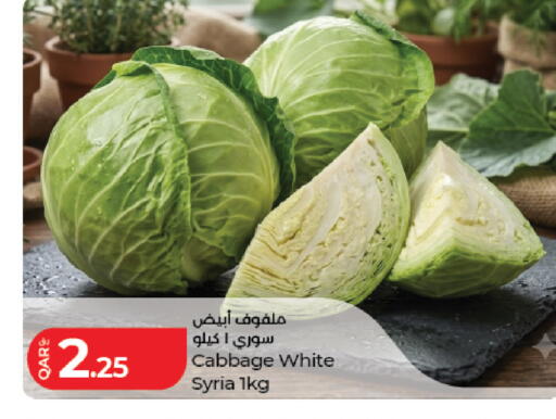 Cabbage from Syria available at لولو هايبرماركت in قطر - الضعاين