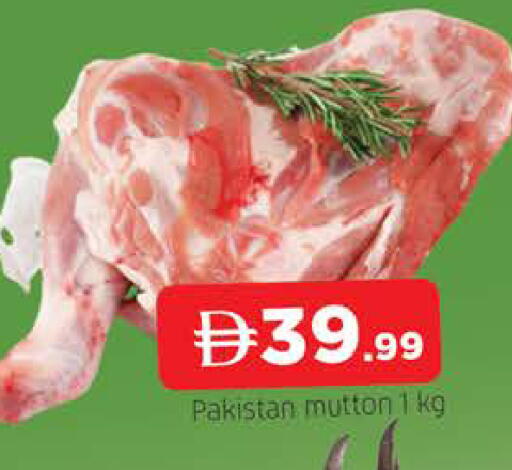 available at المدينة in الإمارات العربية المتحدة , الامارات - الشارقة / عجمان