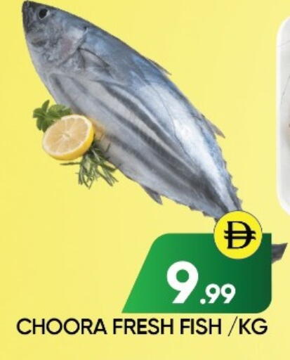 available at Ain Al Madina Hypermarket in UAE - Sharjah / Ajman