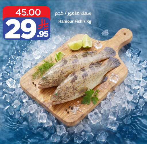 available at وهج مارت in مملكة العربية السعودية, السعودية, سعودية - جدة