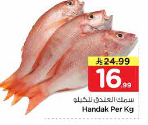 available at نستو in مملكة العربية السعودية, السعودية, سعودية - الخرج