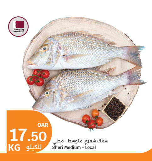 available at City Hypermarket in Qatar - Al Shamal