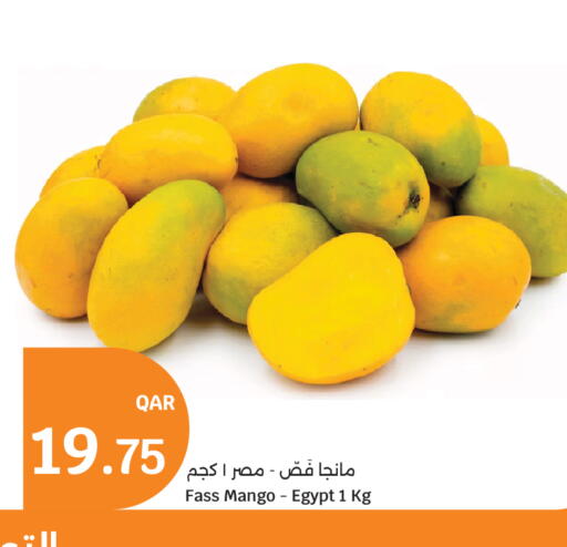 Mango from Egypt available at سيتي هايبرماركت in قطر - الضعاين