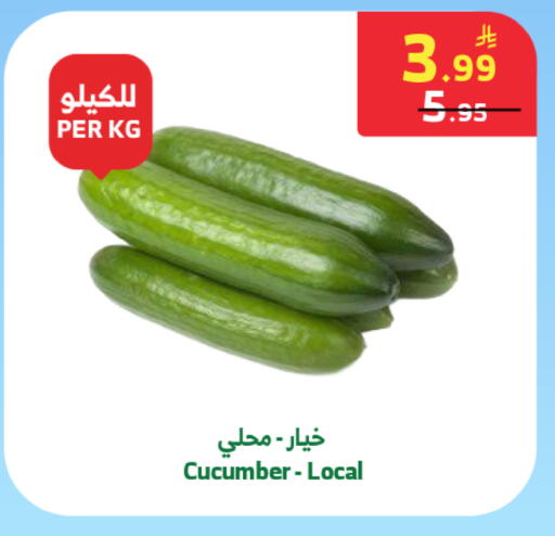 Cucumber available at الراية in مملكة العربية السعودية, السعودية, سعودية - مكة المكرمة