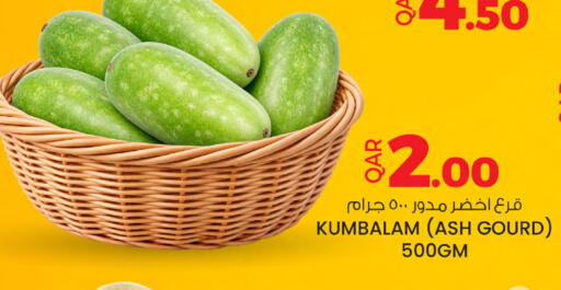 available at أنصار جاليري in قطر - الخور