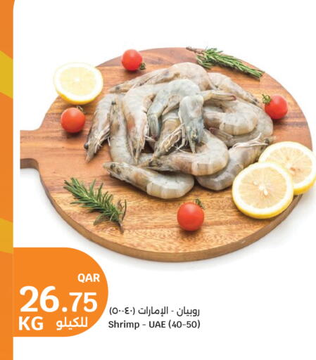 available at سيتي هايبرماركت in قطر - الخور