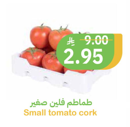 Tomato available at Qateba Markets in KSA, Saudi Arabia, Saudi - Buraidah