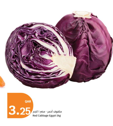 Cabbage from Egypt available at City Hypermarket in Qatar - Al Shamal