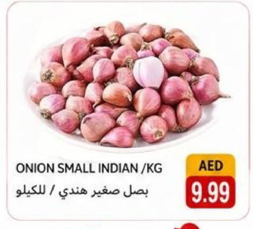 Onion from India available at Rawabi Market Ajman in UAE - Sharjah / Ajman