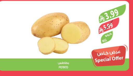 Potato available at المزرعة in مملكة العربية السعودية, السعودية, سعودية - القطيف‎