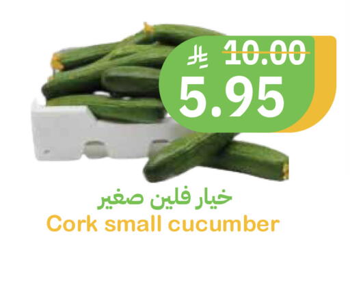 Cucumber available at Qateba Markets in KSA, Saudi Arabia, Saudi - Buraidah