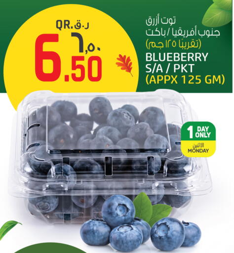 Blueberry BlueBerry available at كنز ميني مارت in قطر - الخور