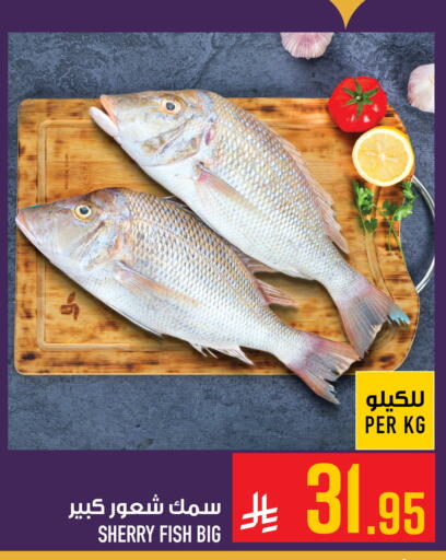 available at أبراج هايبر ماركت in مملكة العربية السعودية, السعودية, سعودية - مكة المكرمة